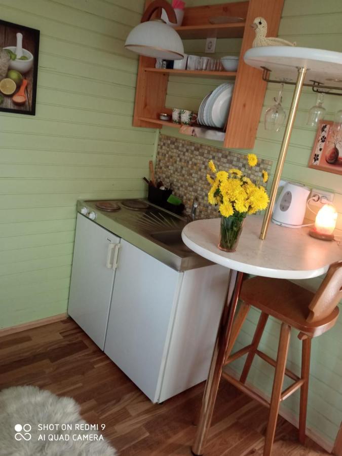 Jurmala'S Center Mini House别墅 外观 照片