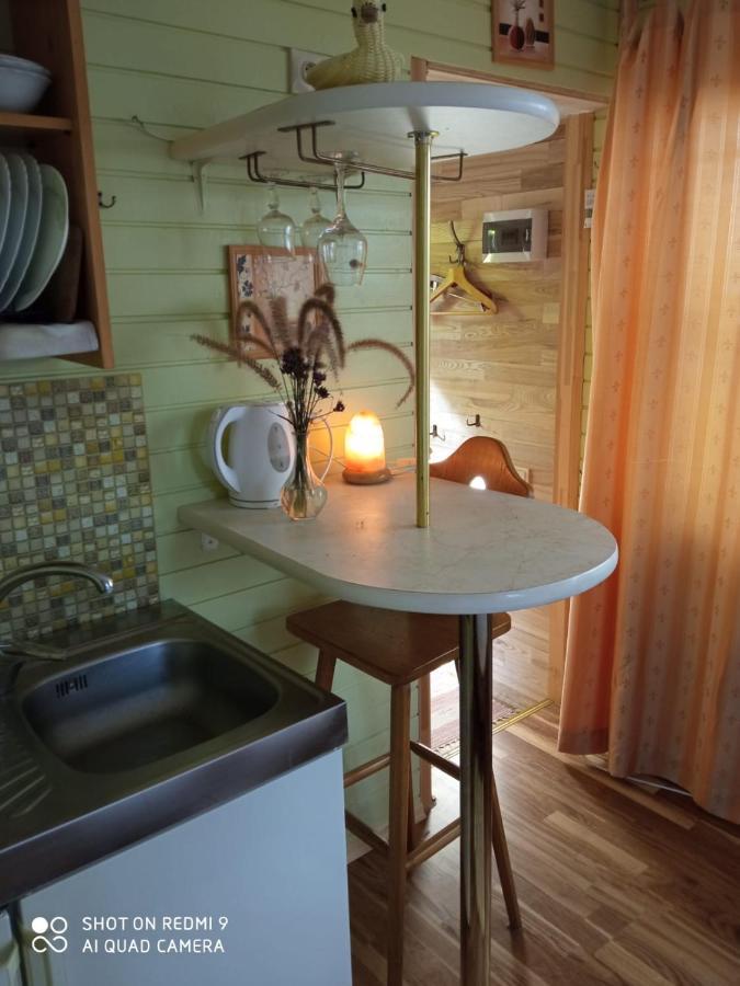 Jurmala'S Center Mini House别墅 外观 照片